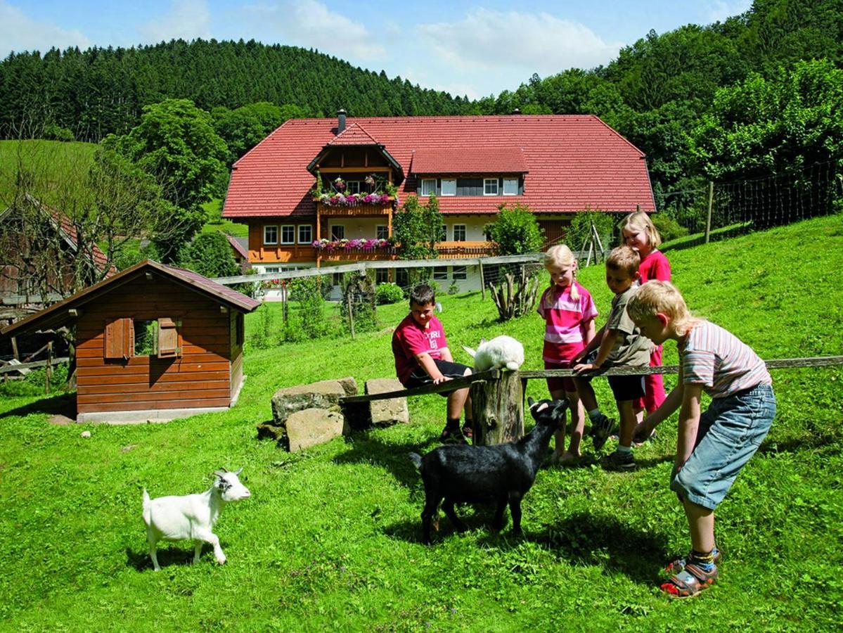 Hoferpeterhof Διαμέρισμα Bad Peterstal-Griesbach Εξωτερικό φωτογραφία